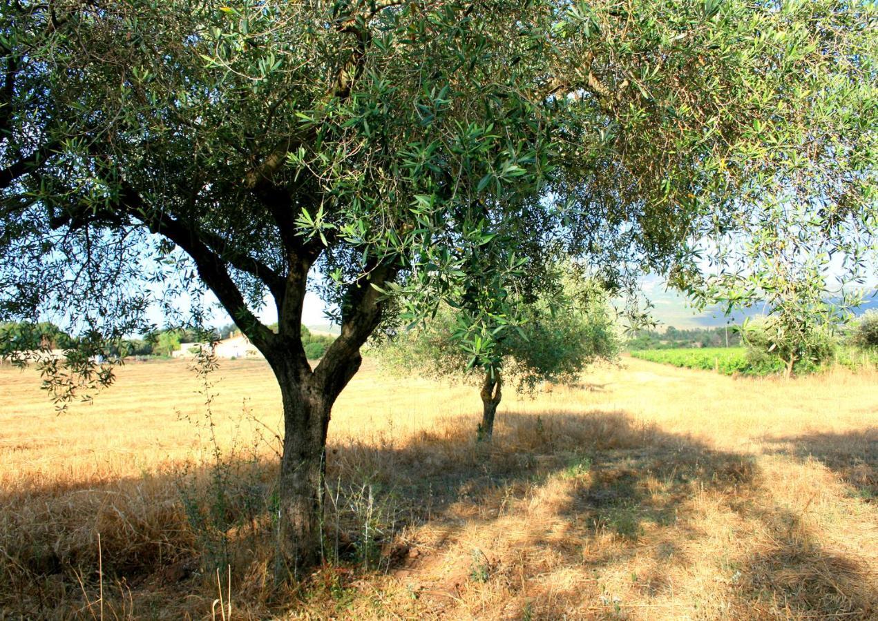 פורטו קונטה Agriturismo Da Pina מראה חיצוני תמונה