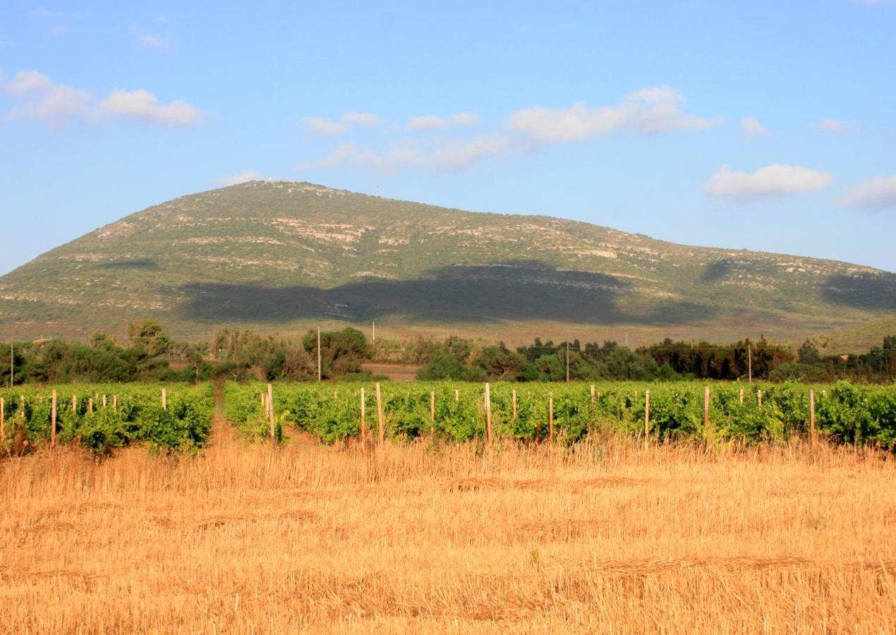 פורטו קונטה Agriturismo Da Pina מראה חיצוני תמונה