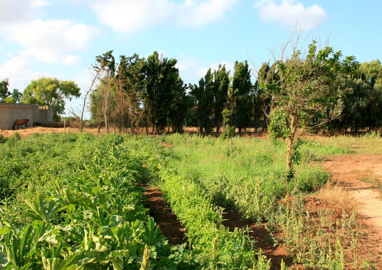 פורטו קונטה Agriturismo Da Pina מראה חיצוני תמונה